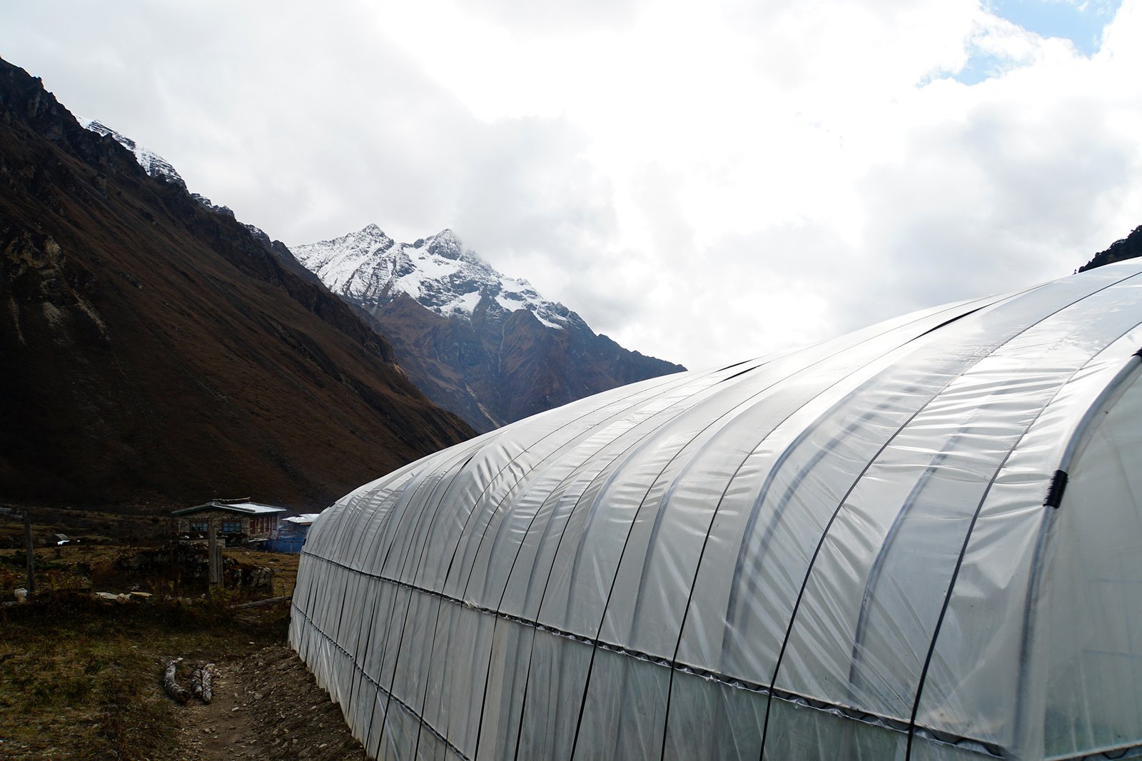 Fresh Vegetables in Highland Communities