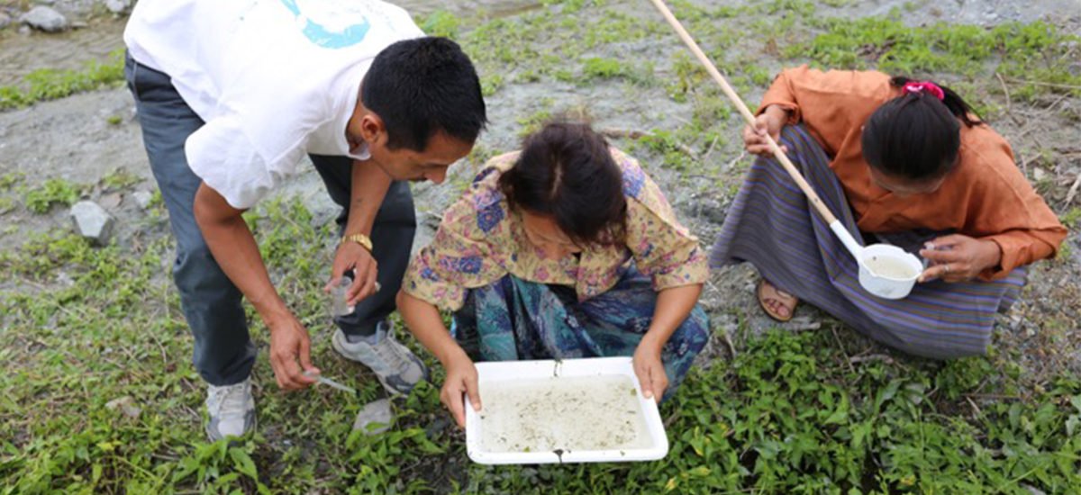 Innovative Surveillance and Control Strategy Training for Vector-borne Diseases in Bhutan