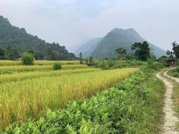 SRI Project Visit in Marangdut