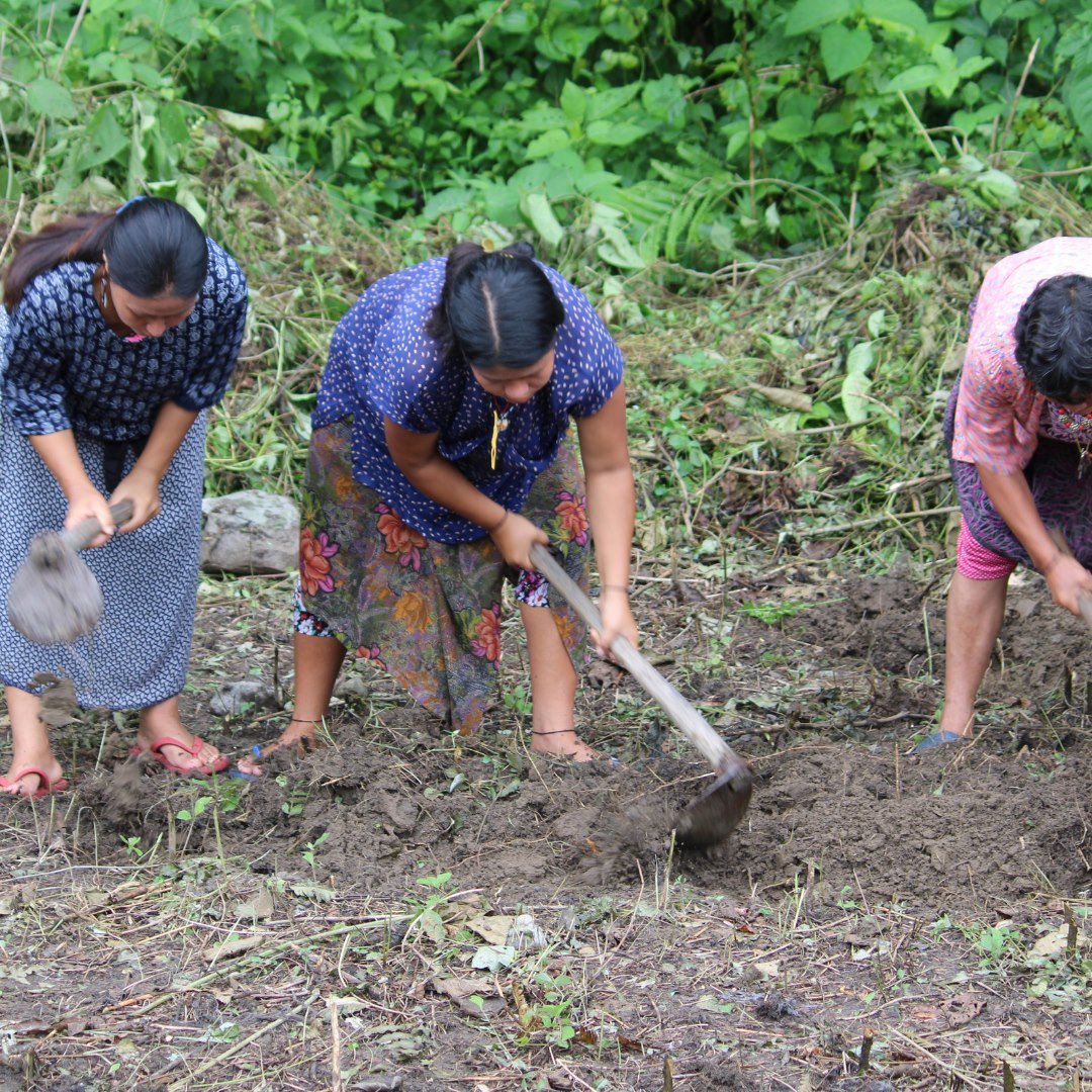 Marangdut Farmers’ Group Trains in System of Rice Intensification (SRI)