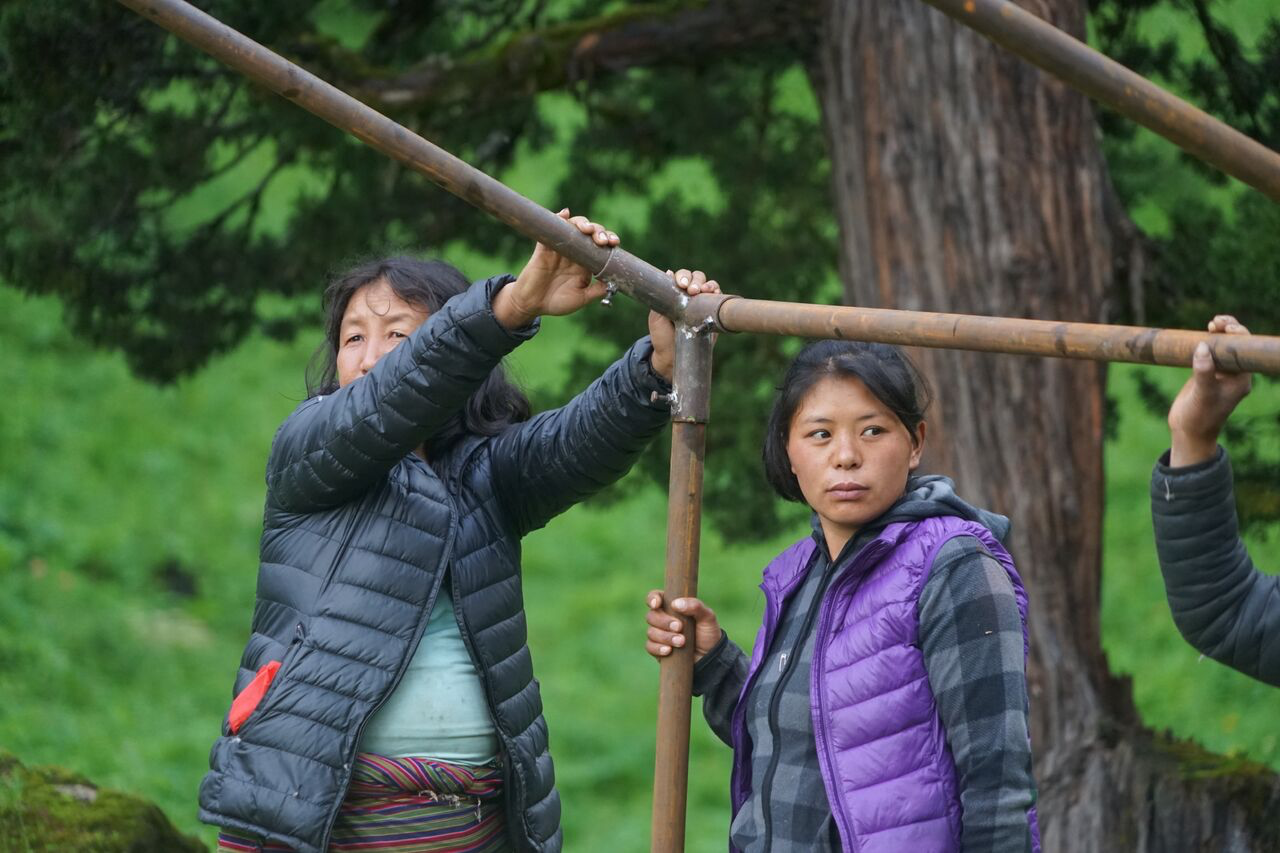Snow Leopards and Yak Herders in the Highlands