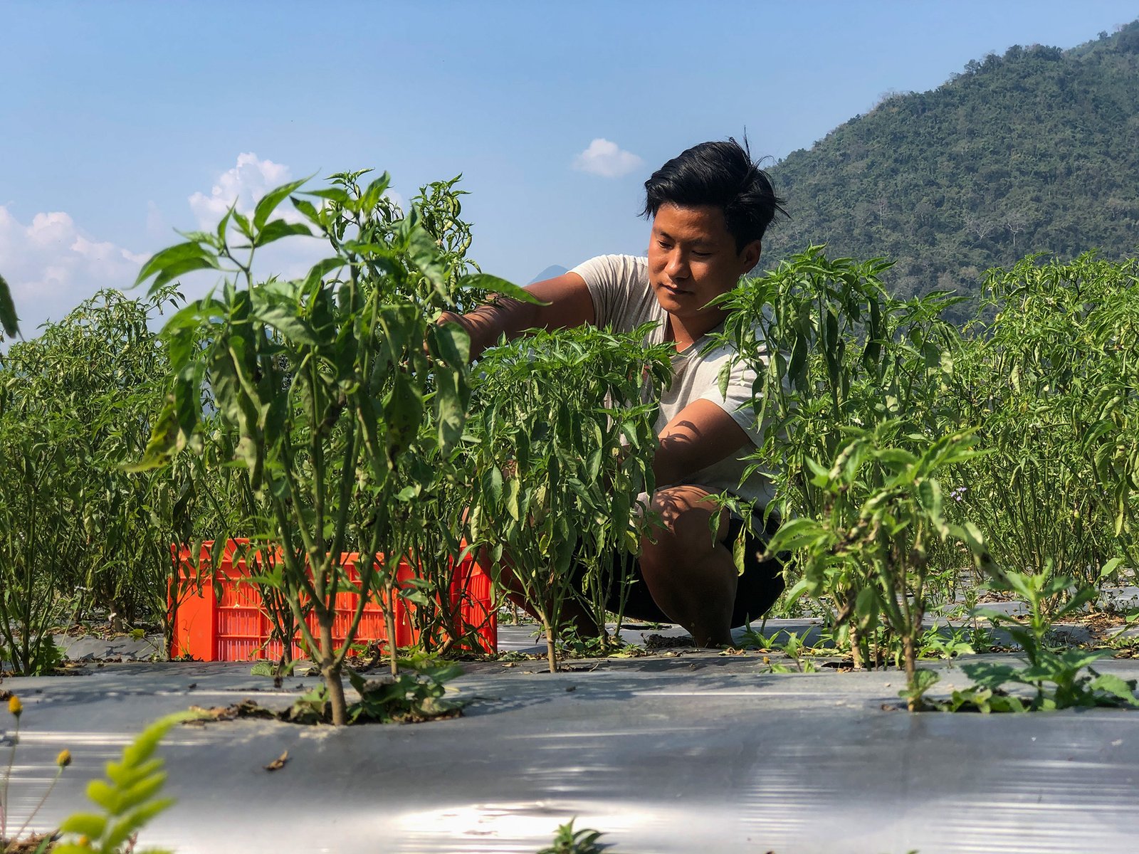 Panbang Youth Cooperative Caters to its Local Community