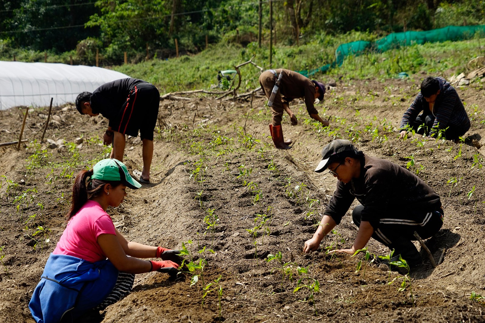 Partner In Focus: Khengrig Namsum Cooperative (KNC)