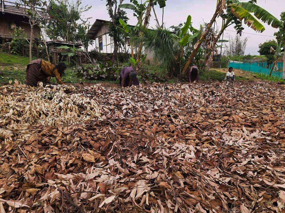 Organic mulching