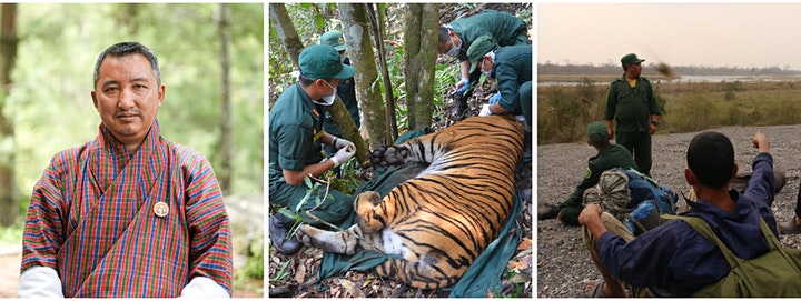 Tiger conservation in Bhutan