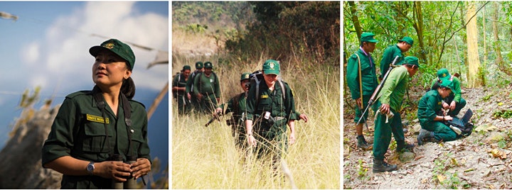 Foresters working on tiger conservation