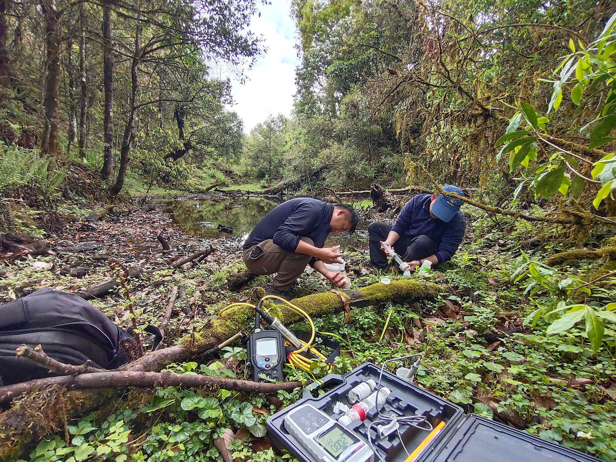 Bhutanese Scientists Partner with U.S. Universities on Research Grants