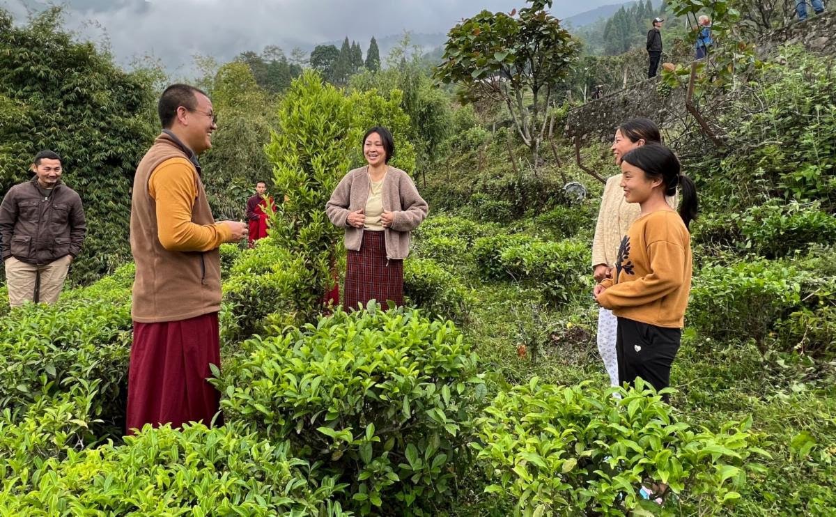 Field Notes: Food Security, Social Enterprises, and Tiger Conservation