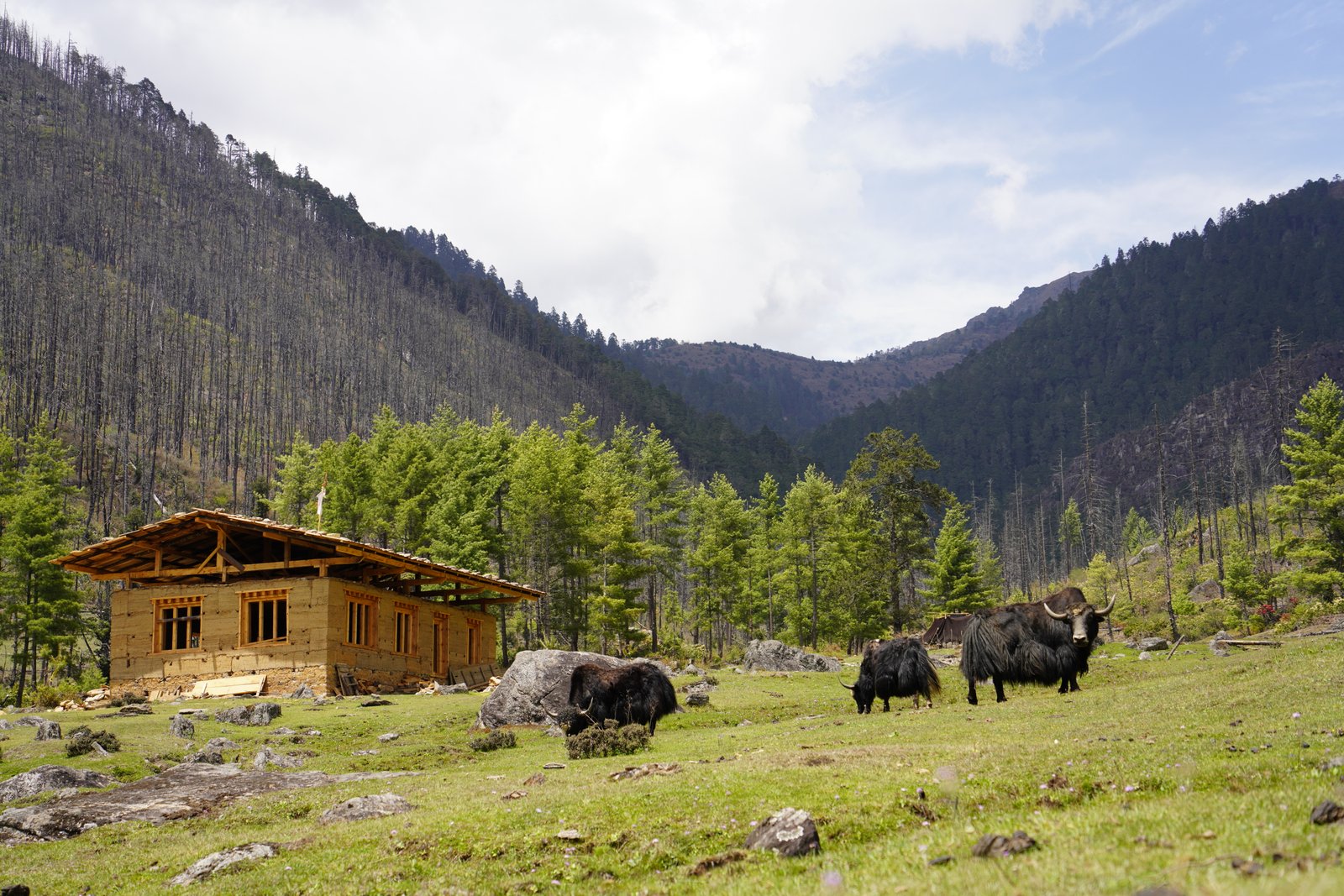 Announcing Bhutan Foundation’s 2024 Small Grants Program