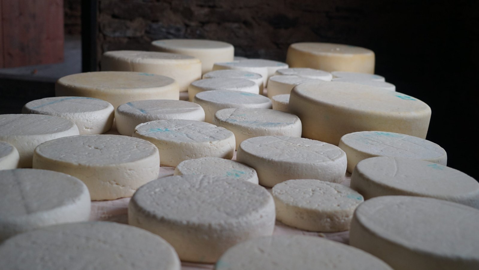 Empowering Dagala’s Yak Herders through Cheese-Making and Livelihood Diversification