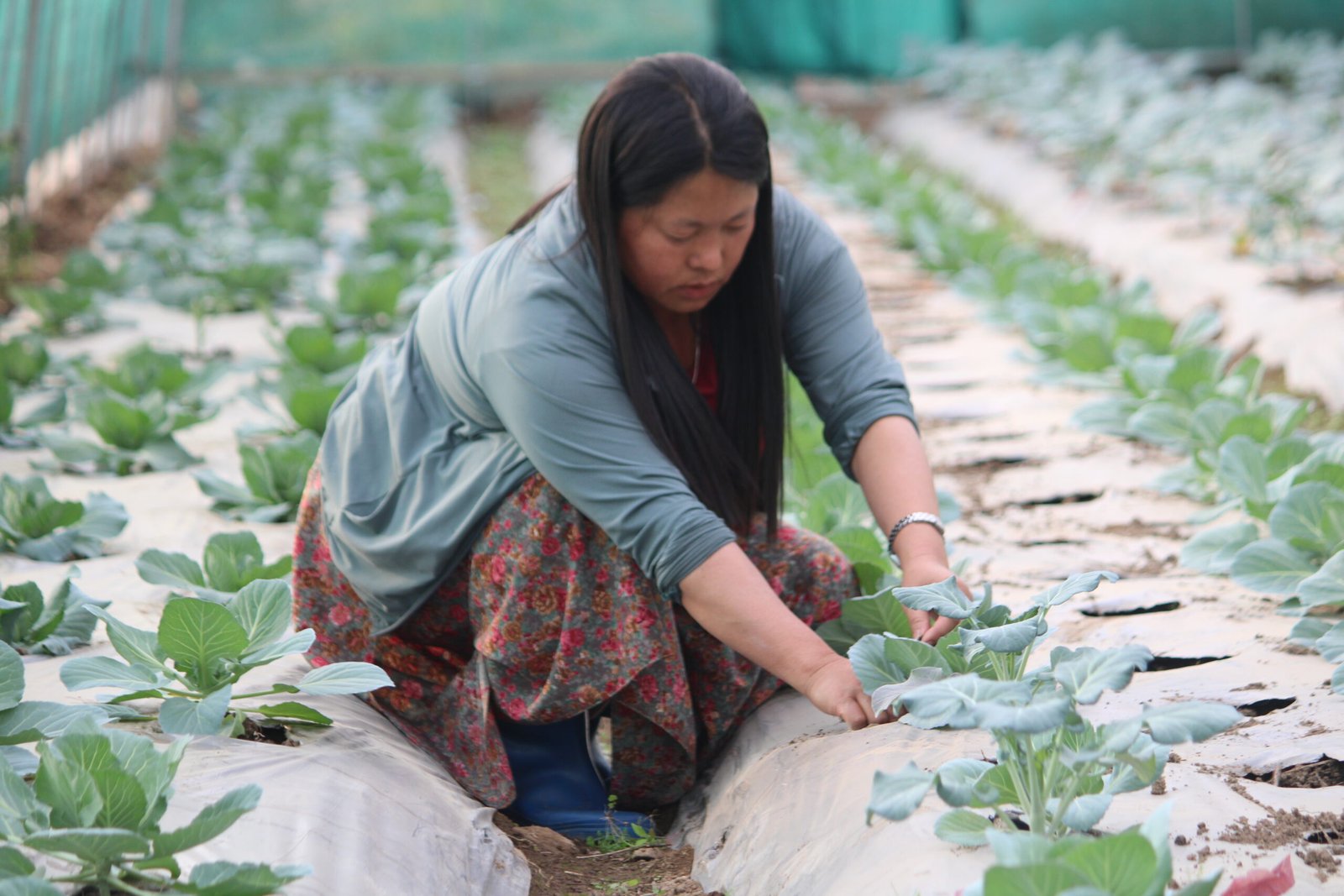 Empowering Smallholder Farmers and Strengthening Rural Communities in Bhutan